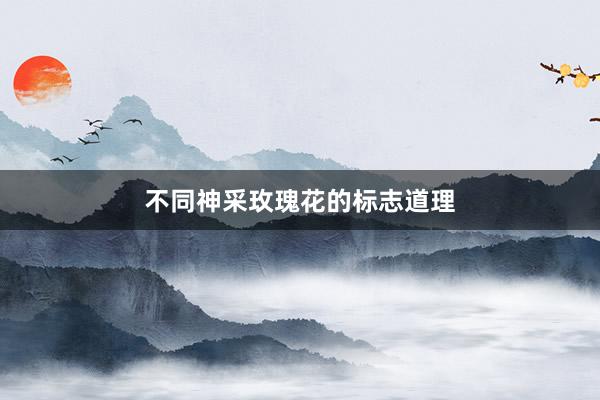 不同神采玫瑰花的标志道理